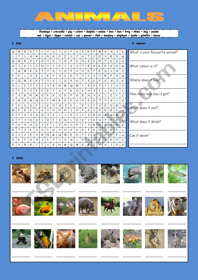 Animals worksheet