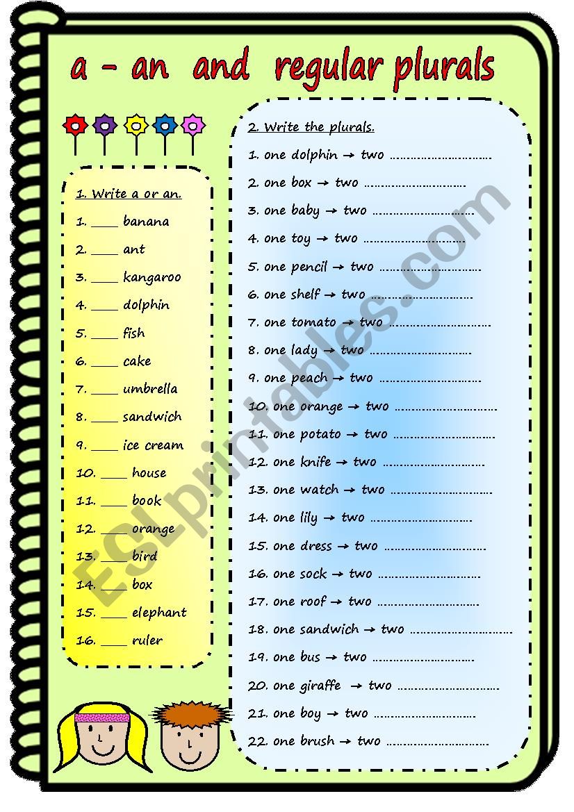 A - AN and REGULAR PLURALS worksheet