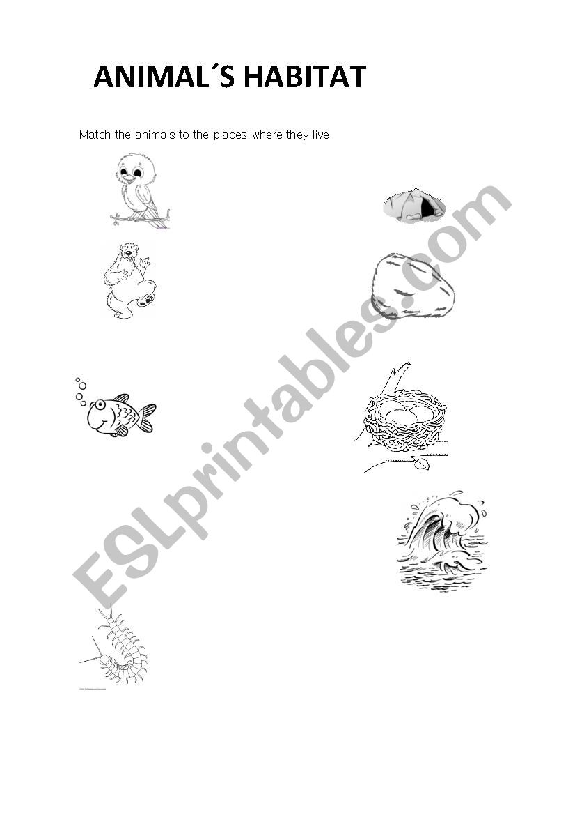 ANIMALS HABITAT worksheet