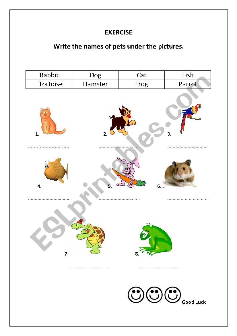 Pets matching activity worksheet