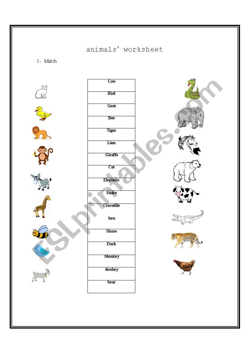 animals worksheet worksheet