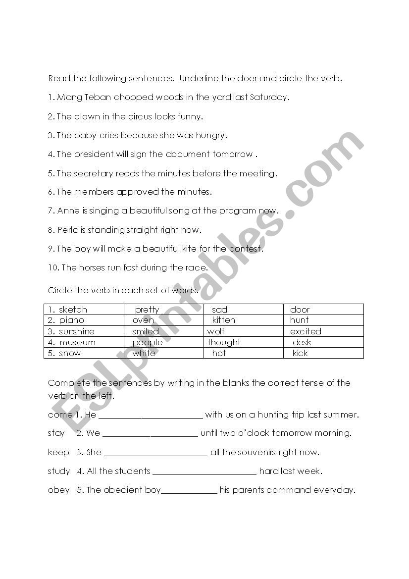 doer and verb worksheet