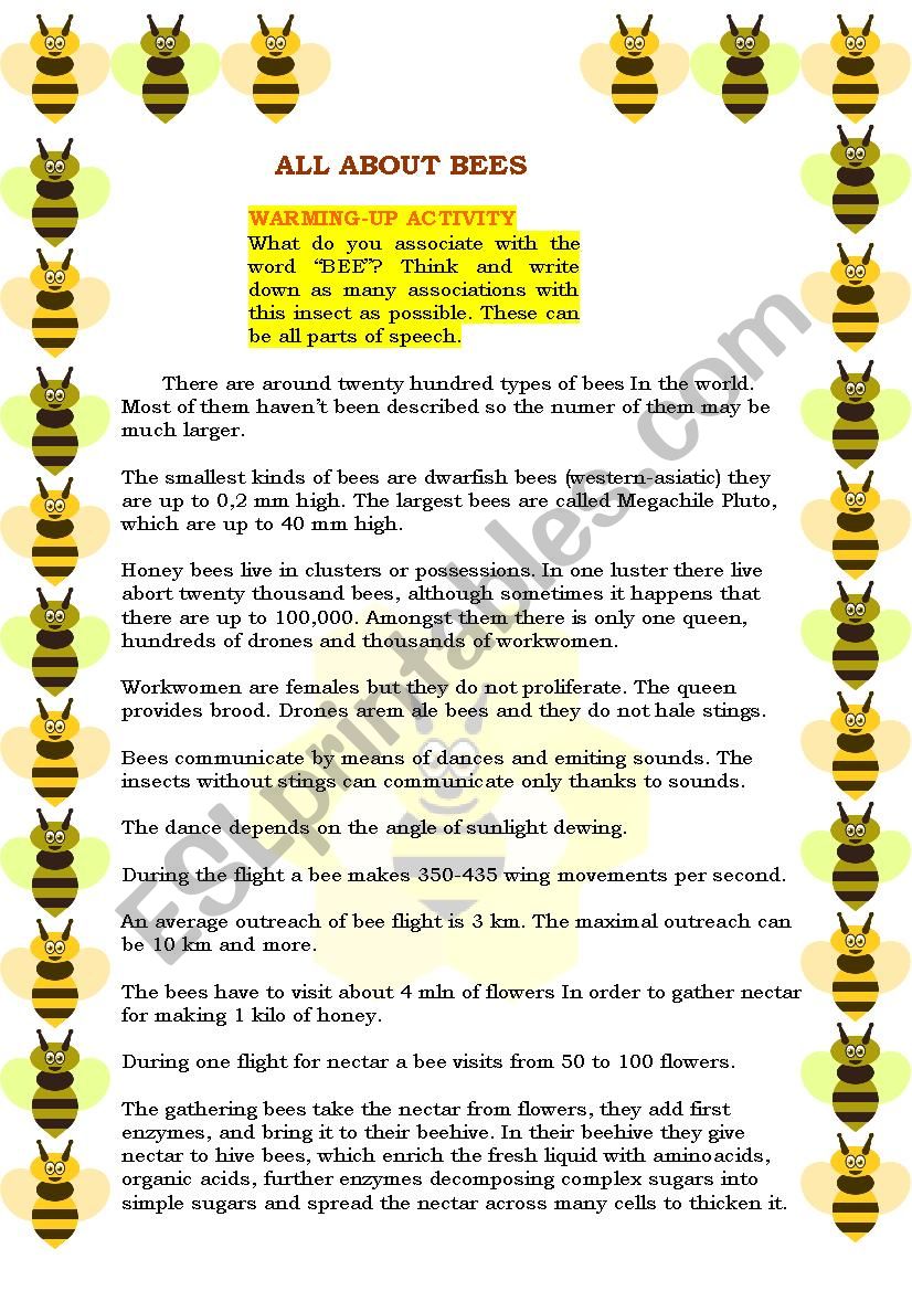 READING - ALL ABOUT BEES! EDITABLE + 3 EXERCISES