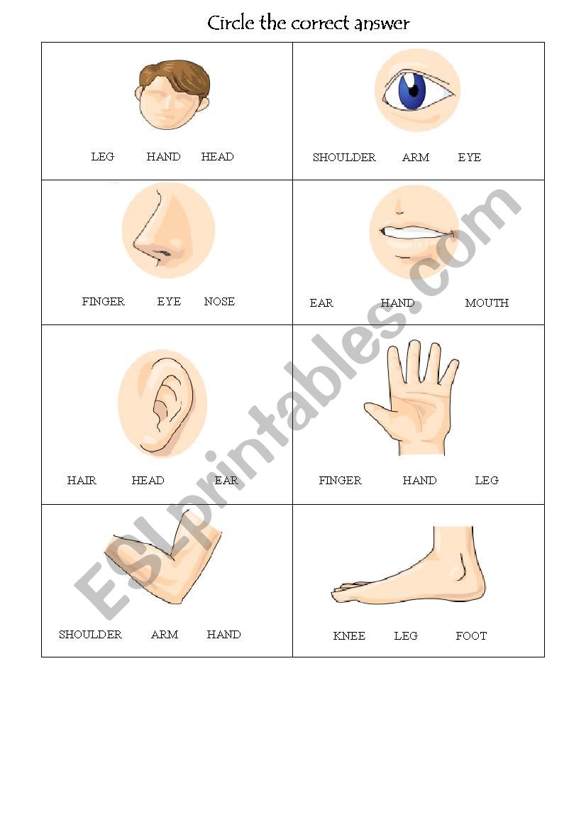 Body choice worksheet