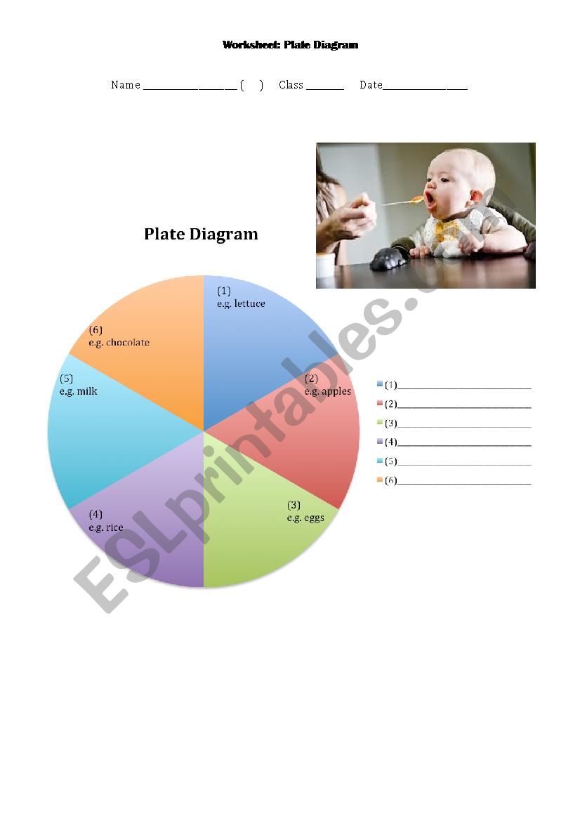 Worksheet Food Groups worksheet