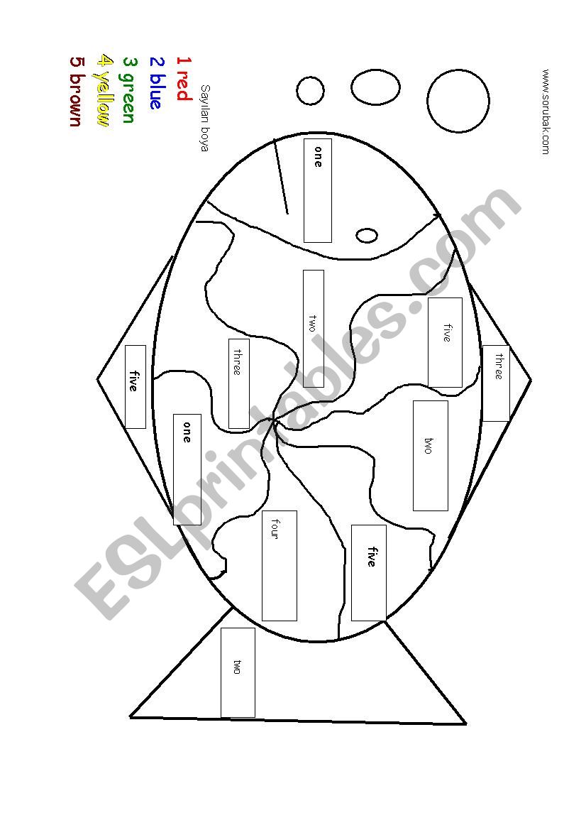 numbers&colors worksheet