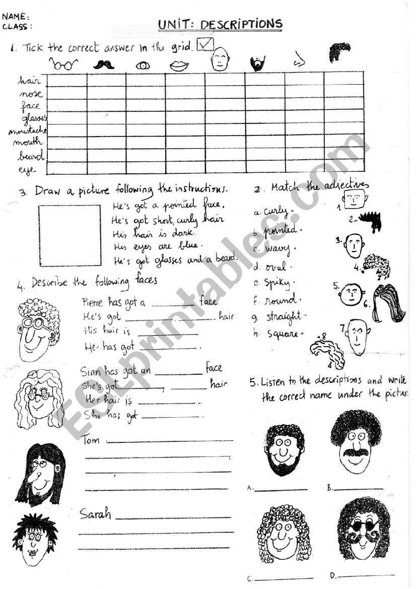 Face descriptions worksheet