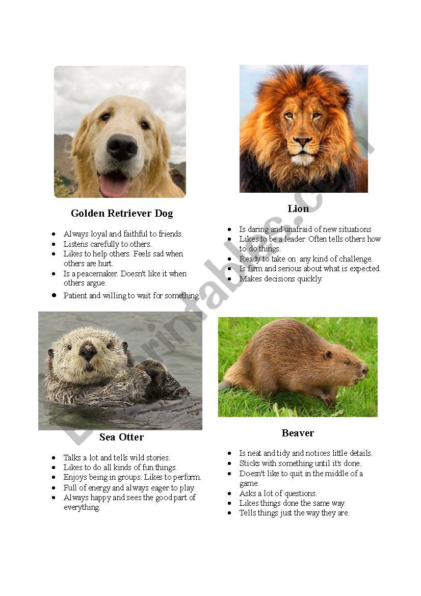 Animal Personality Types ESL worksheet by jantinarose
