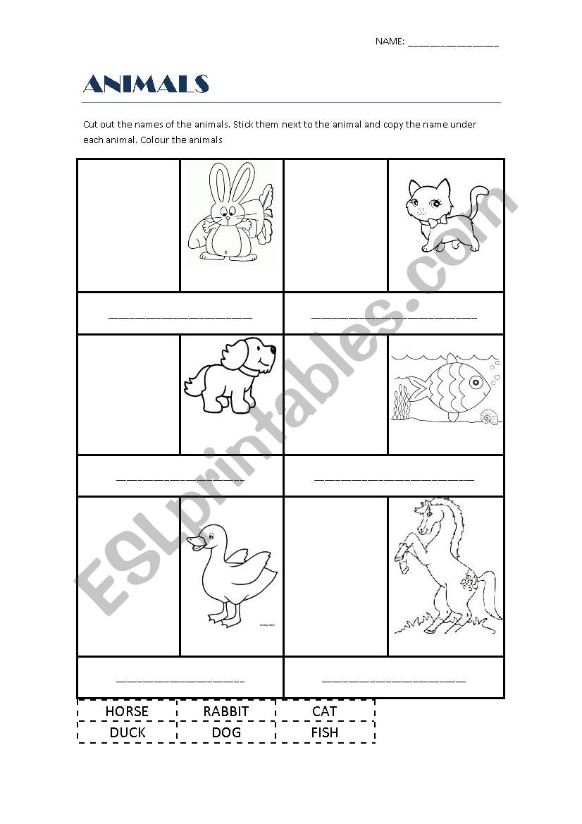 Animals worksheet