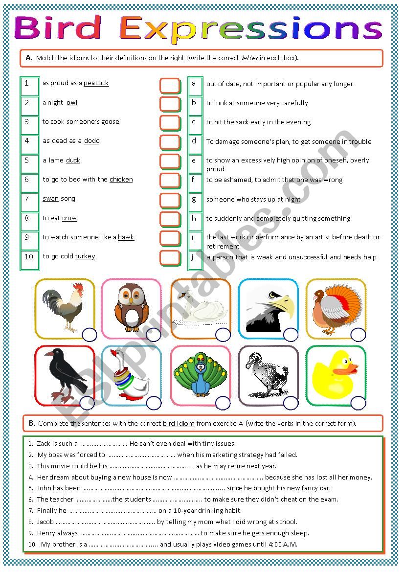 Bird Idioms and Expressions worksheet