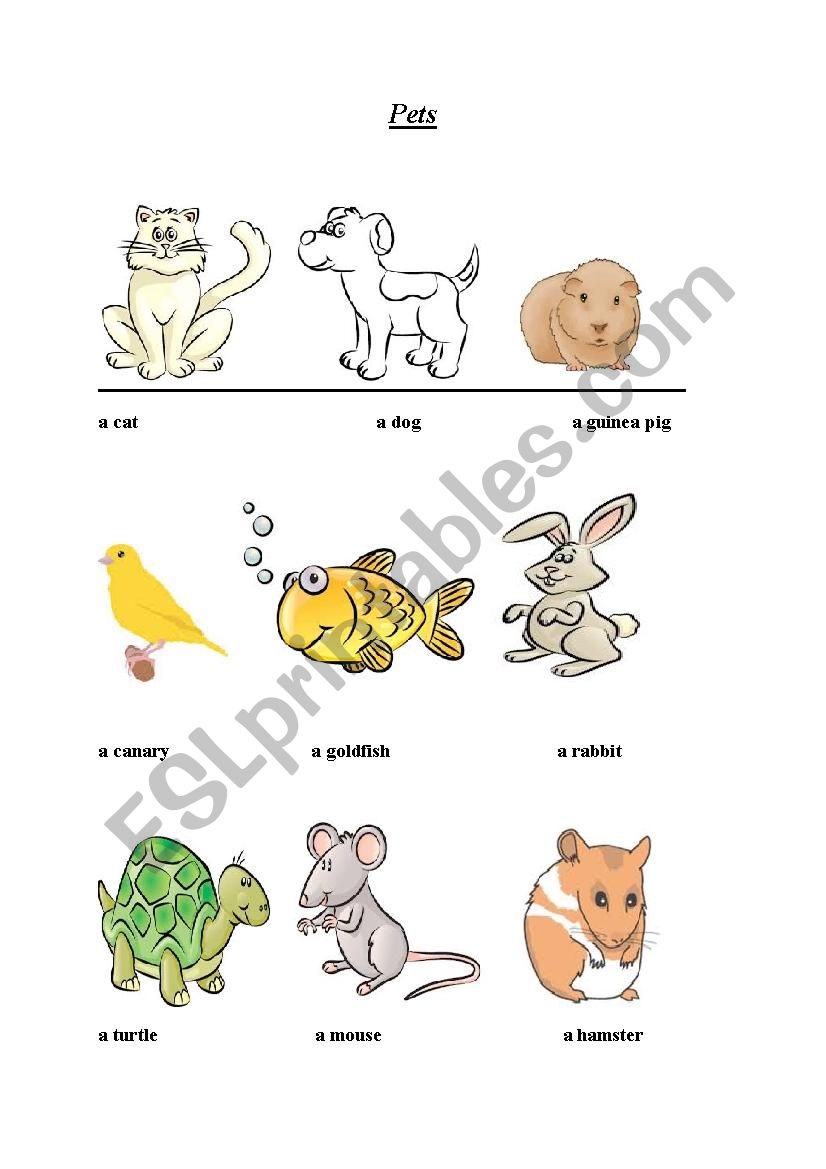 Pets worksheet