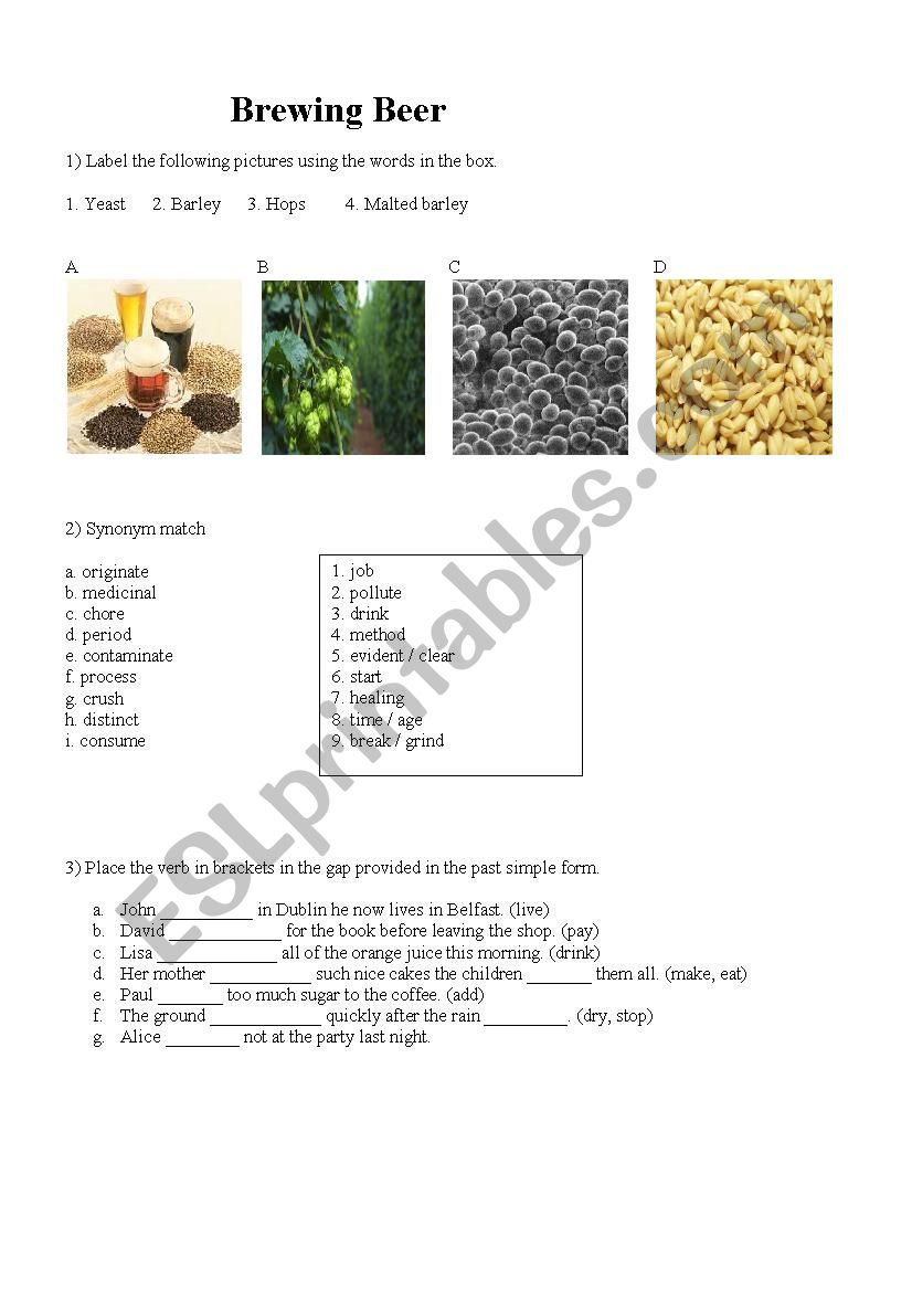 Brewing Beer  worksheet