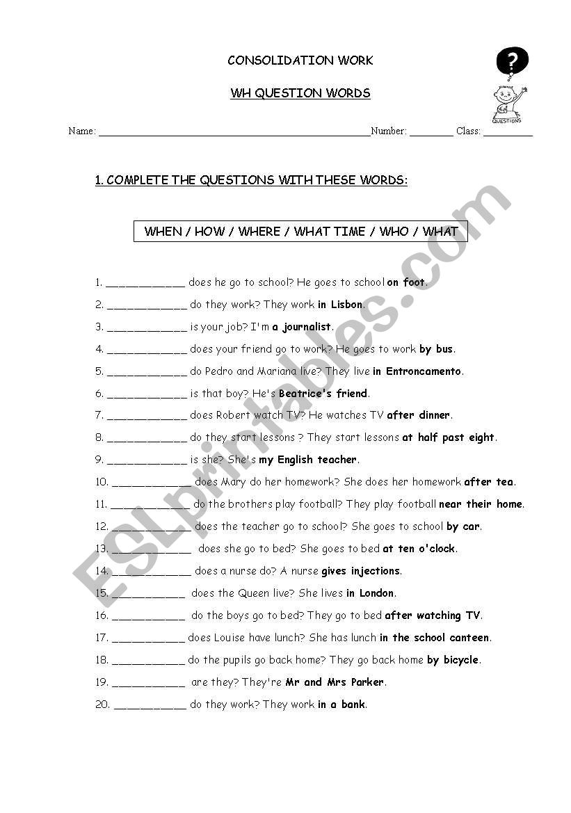 WH Questions worksheet