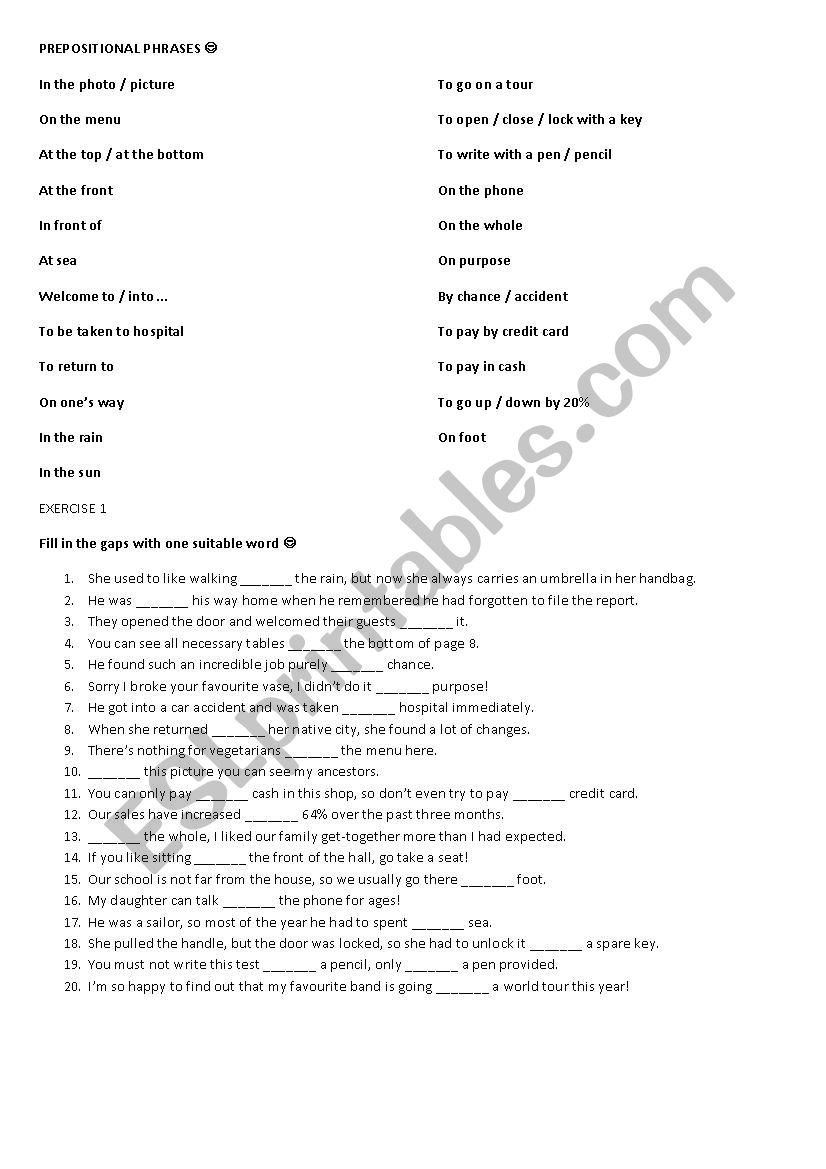 Phrases with Prepositions worksheet