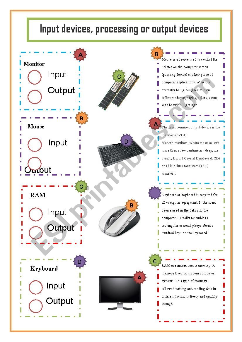 computer basics worksheet input/output