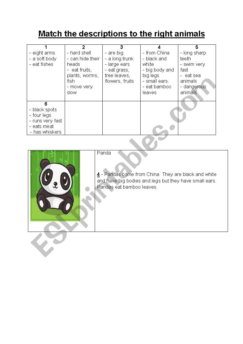Animal Flash Cards worksheet