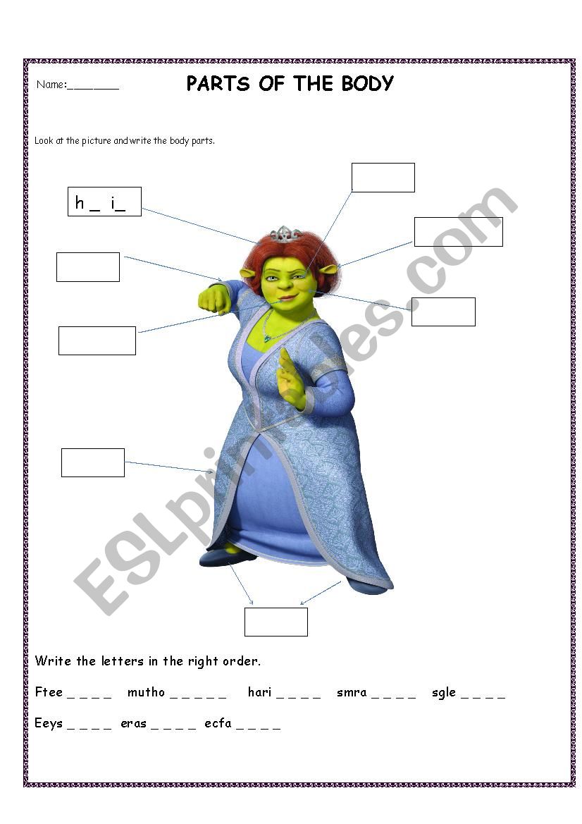 body parts worksheet