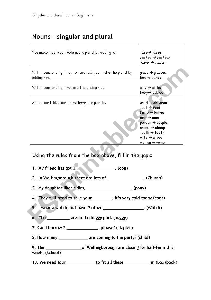 Singular and Plural nouns worksheet