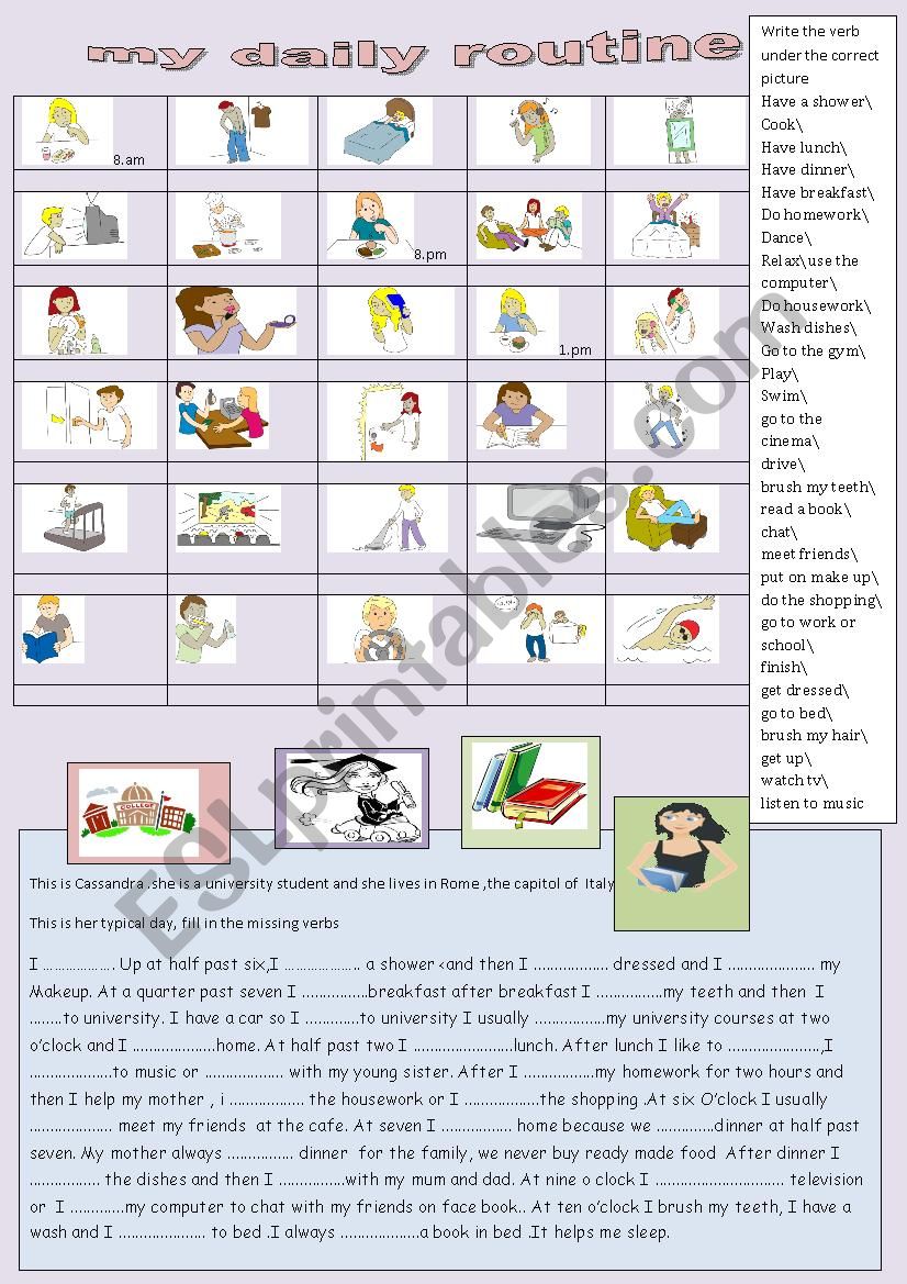  my daily routine worksheet