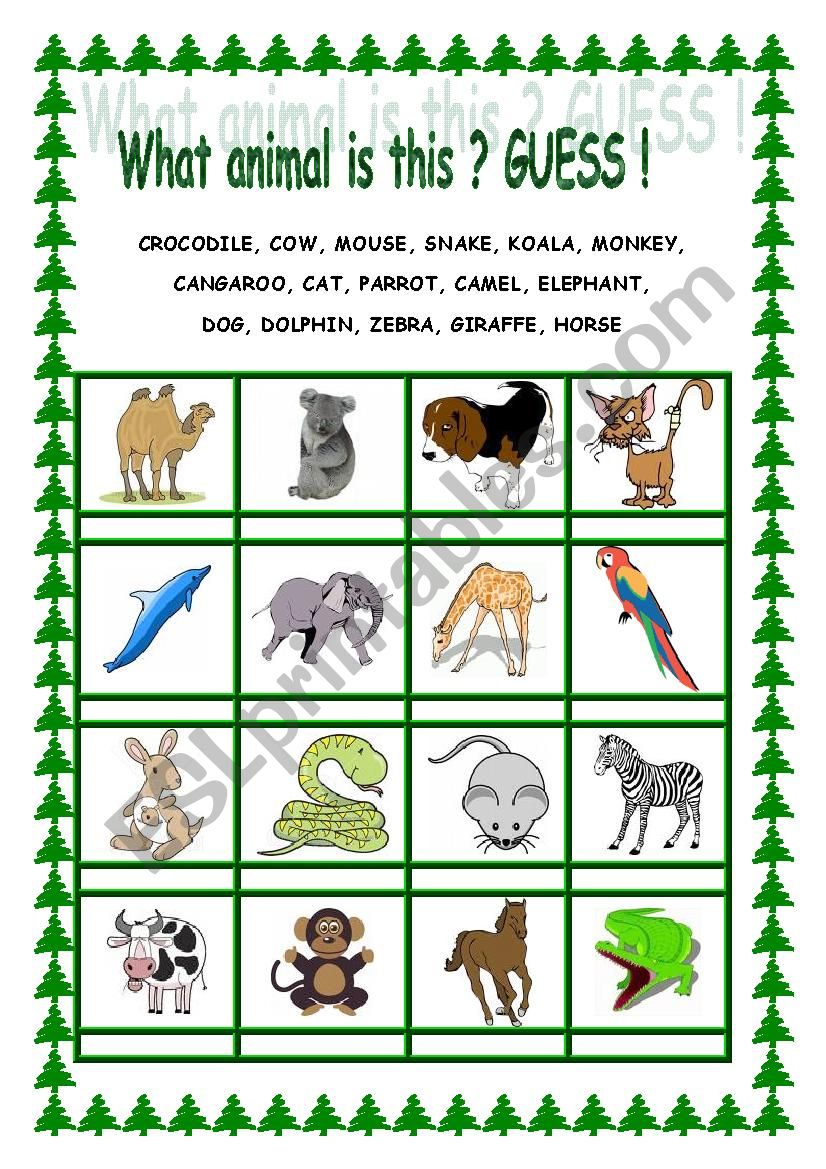 what animal is this? Guess! worksheet