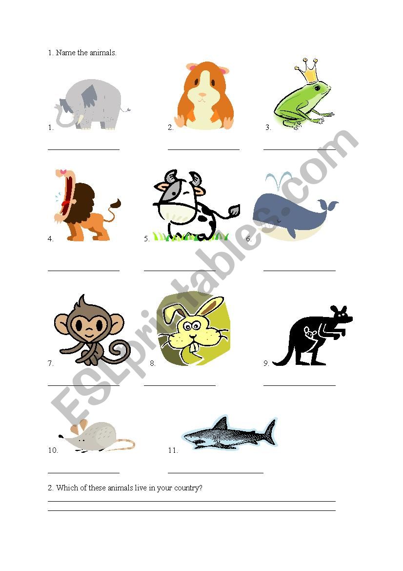 Animals worksheet