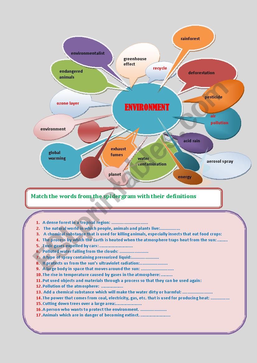  ENVIRONMENT worksheet