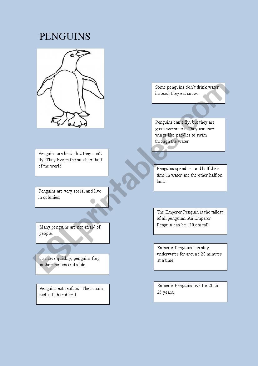 Animal facts: penguins worksheet