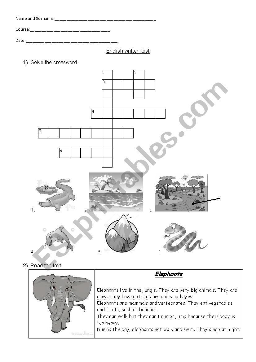 Jungle animals worksheet