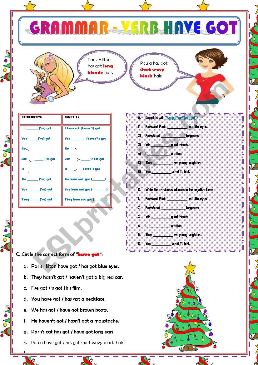 VERB HAVE GOT - PRESENT SIMPLE - AFFIRMATIVE AND NEGATIVE