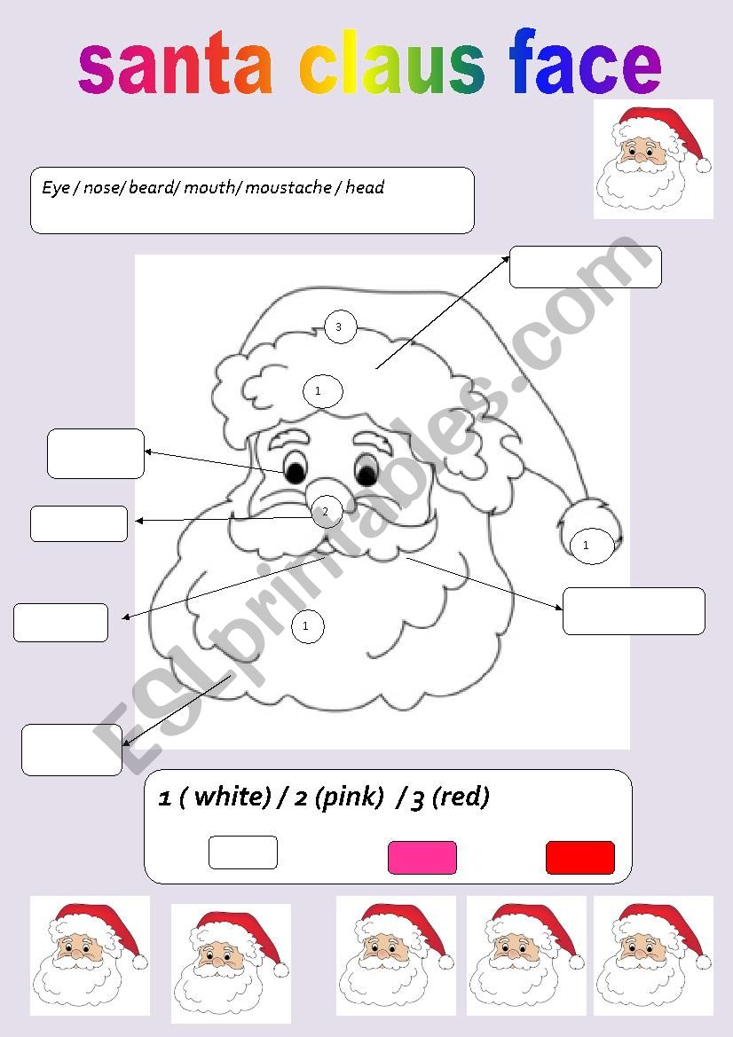 parts of the face worksheet