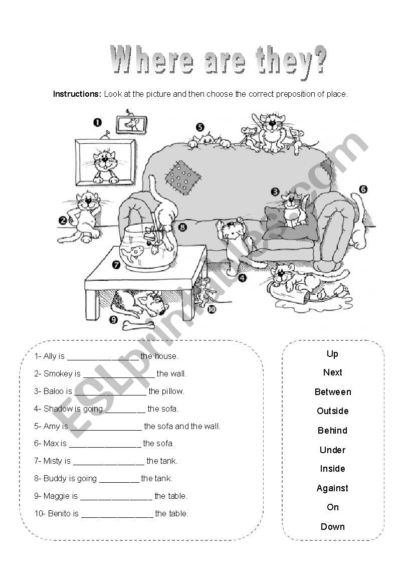 Where are they? worksheet