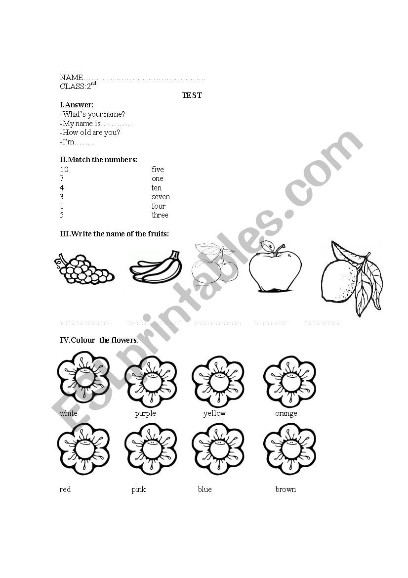 TEST 2nd grade worksheet