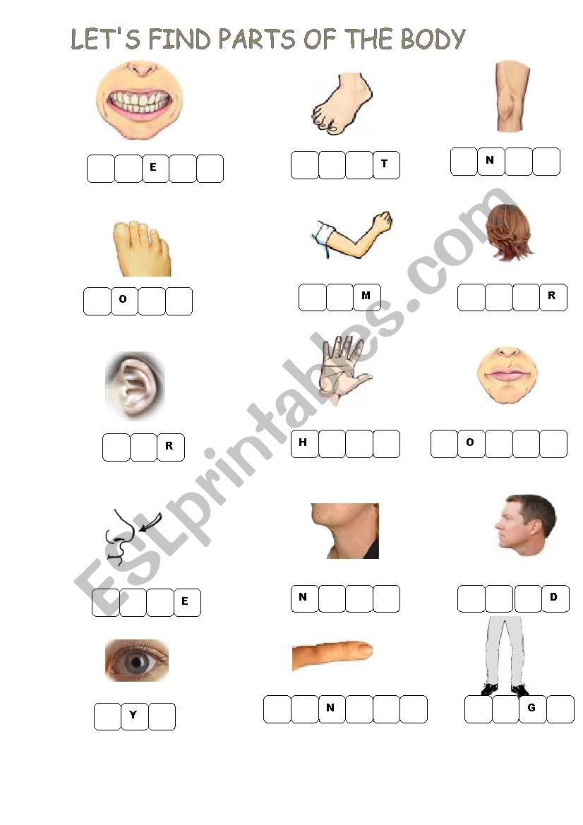 body parts worksheet