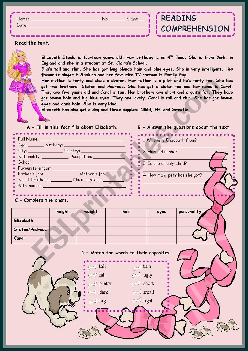 READING COMPREHENSION worksheet