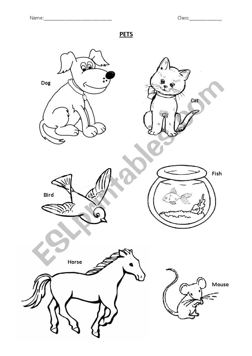 ANIMAL COLOURING WORKSHEET worksheet