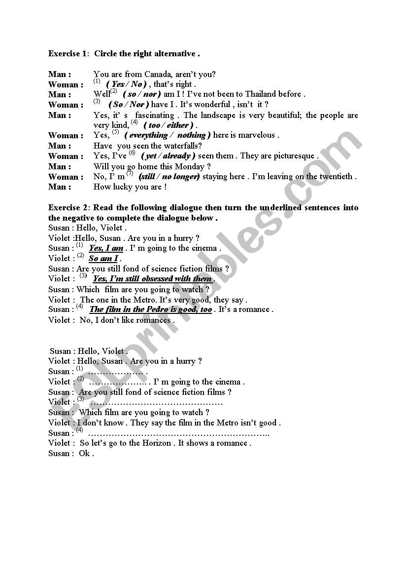 Negation Practice. worksheet