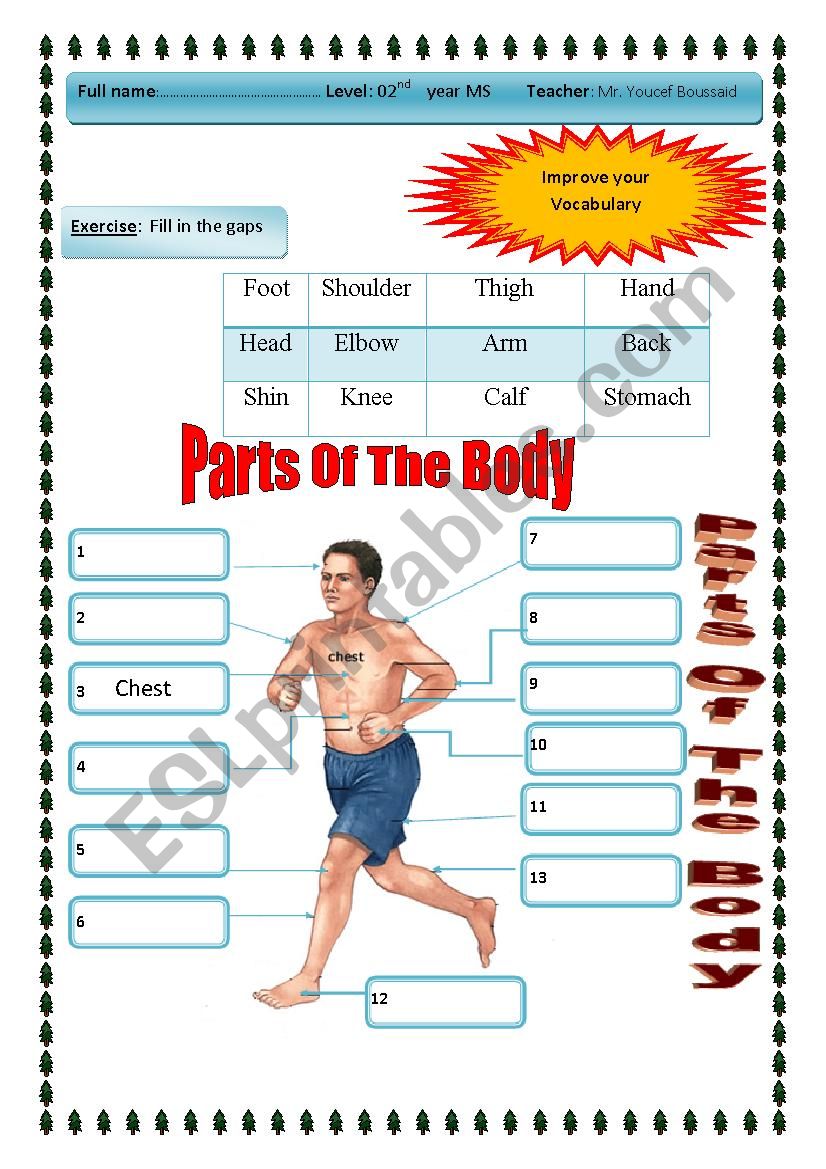 Parts Of The Body worksheet