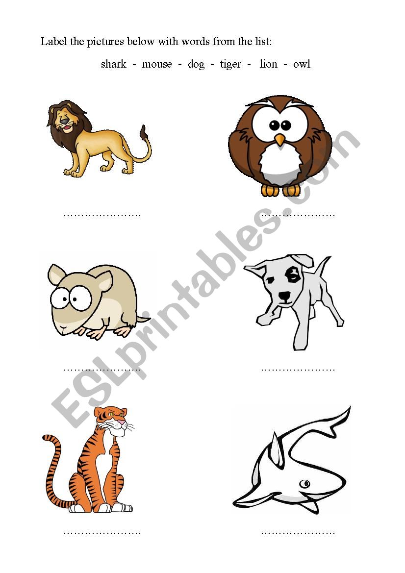 animals worksheet