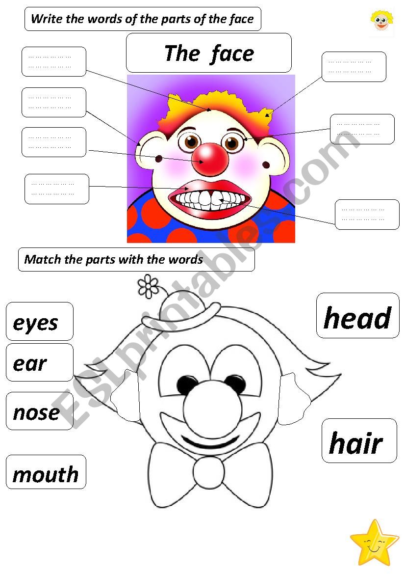 the parts of the face worksheet