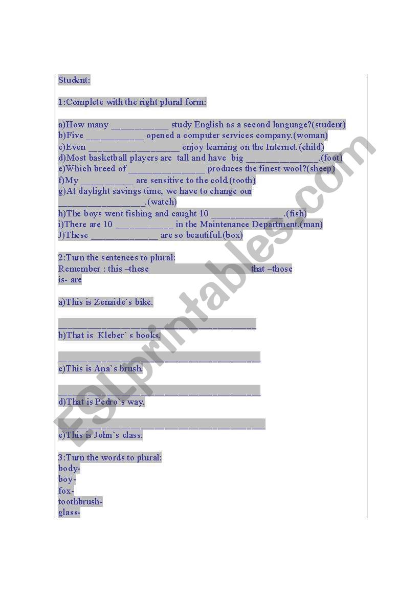 plural worksheet
