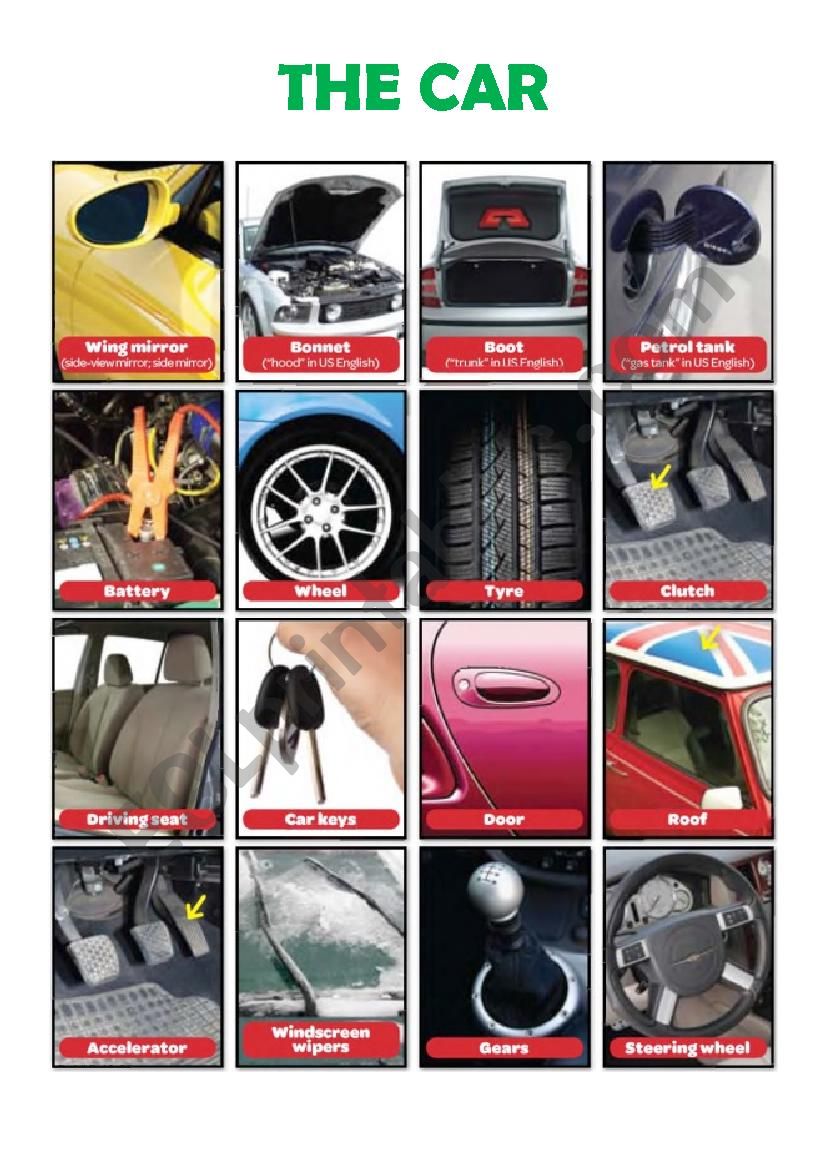 The Car Pic Dictionary worksheet