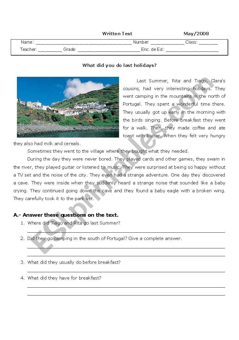 simple past- holidays worksheet