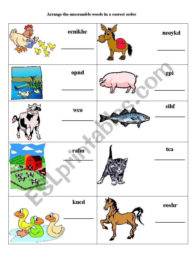 animals unscramble words worksheet