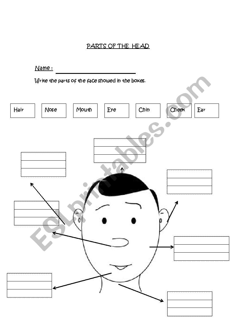 Parts of the face worksheet