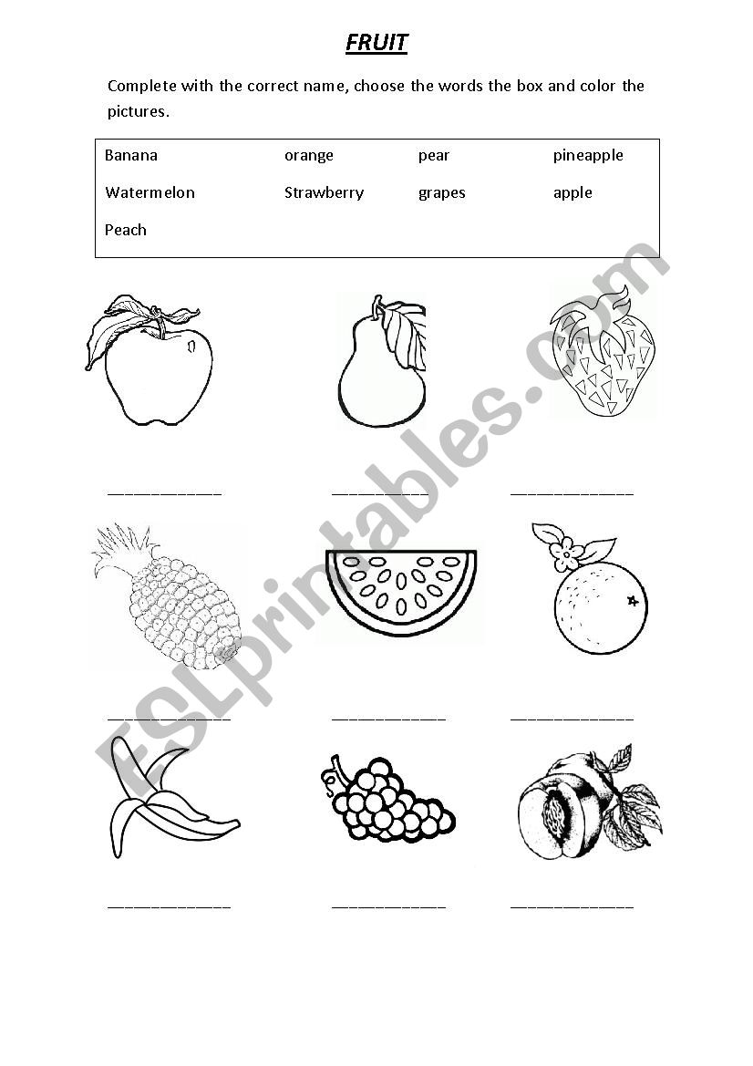 FRUIT worksheet