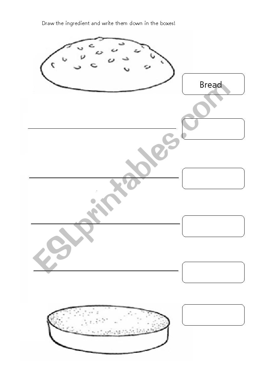 hamburger worksheet