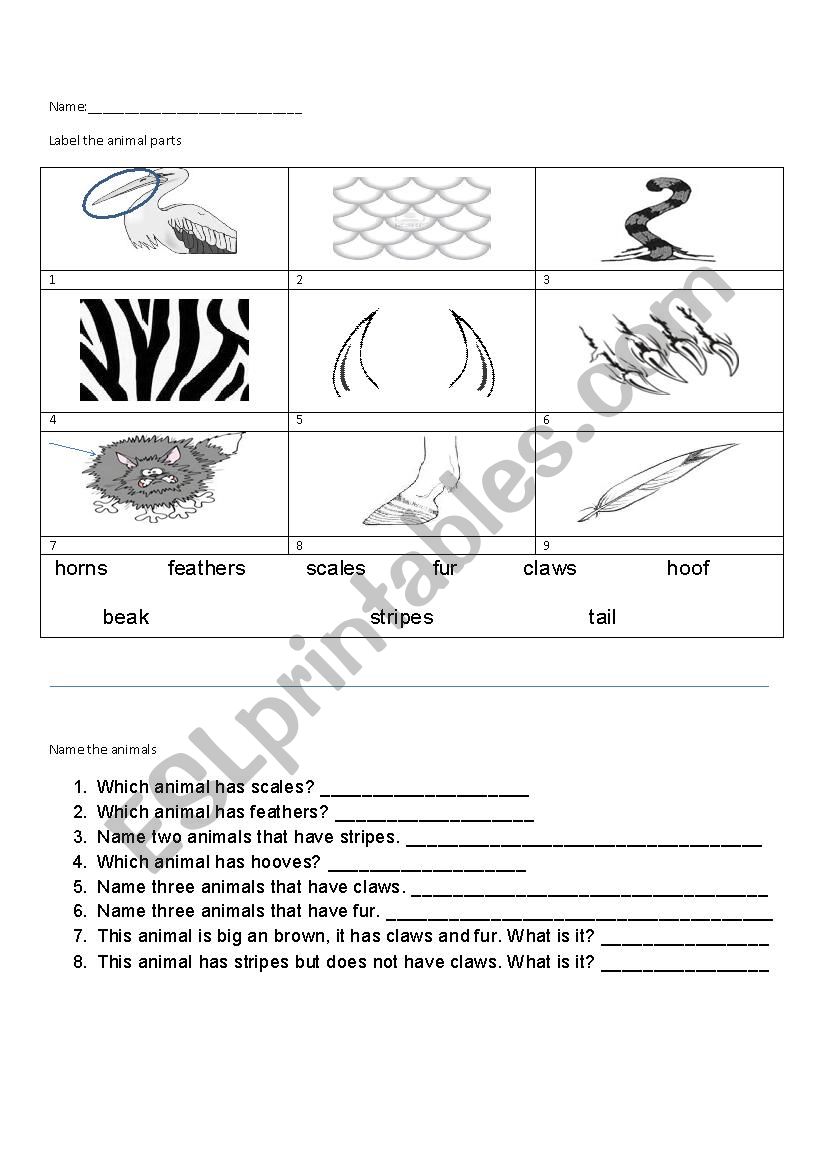 Animal Body Parts  worksheet