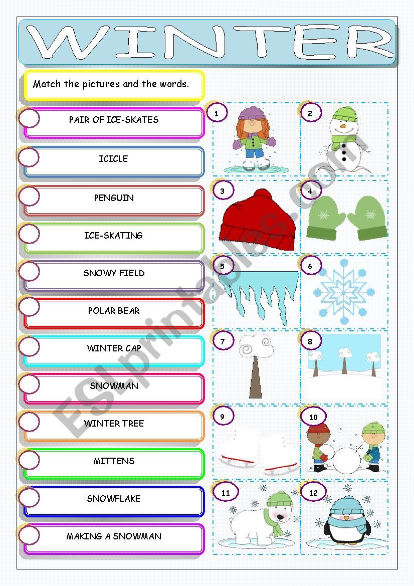 Winter worksheet