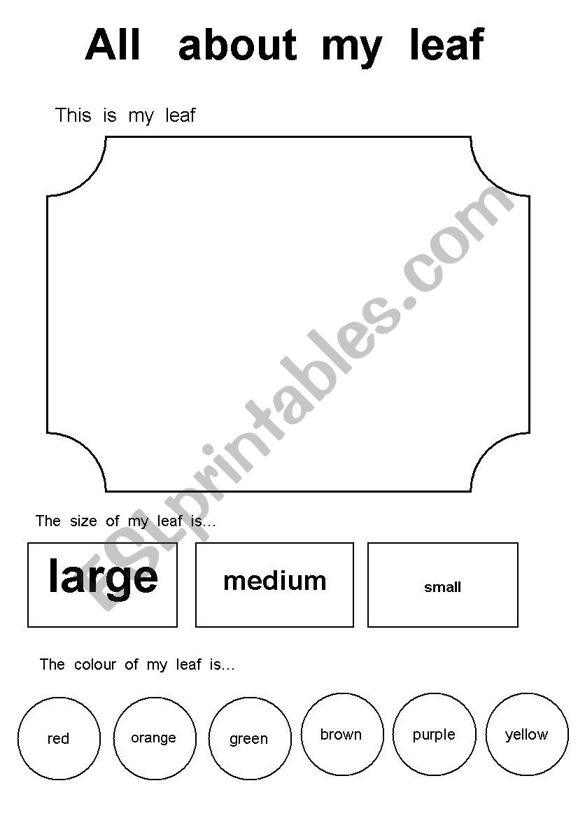 All about my leaf worksheet