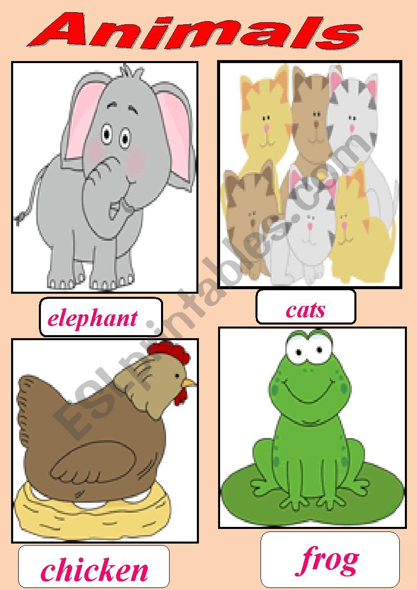 animals cards worksheet